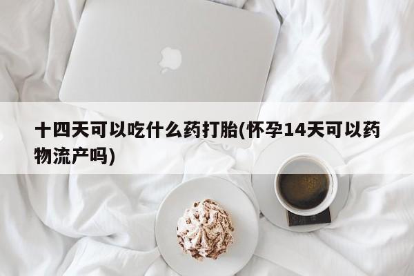 堕胎药购买微信十四天可以吃什么药打胎(怀孕14天可以药物流产吗)